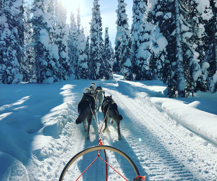 3rd March 2024