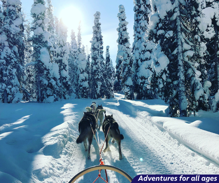 Adventures in Saariselkä